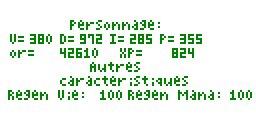 Description d'un personnage